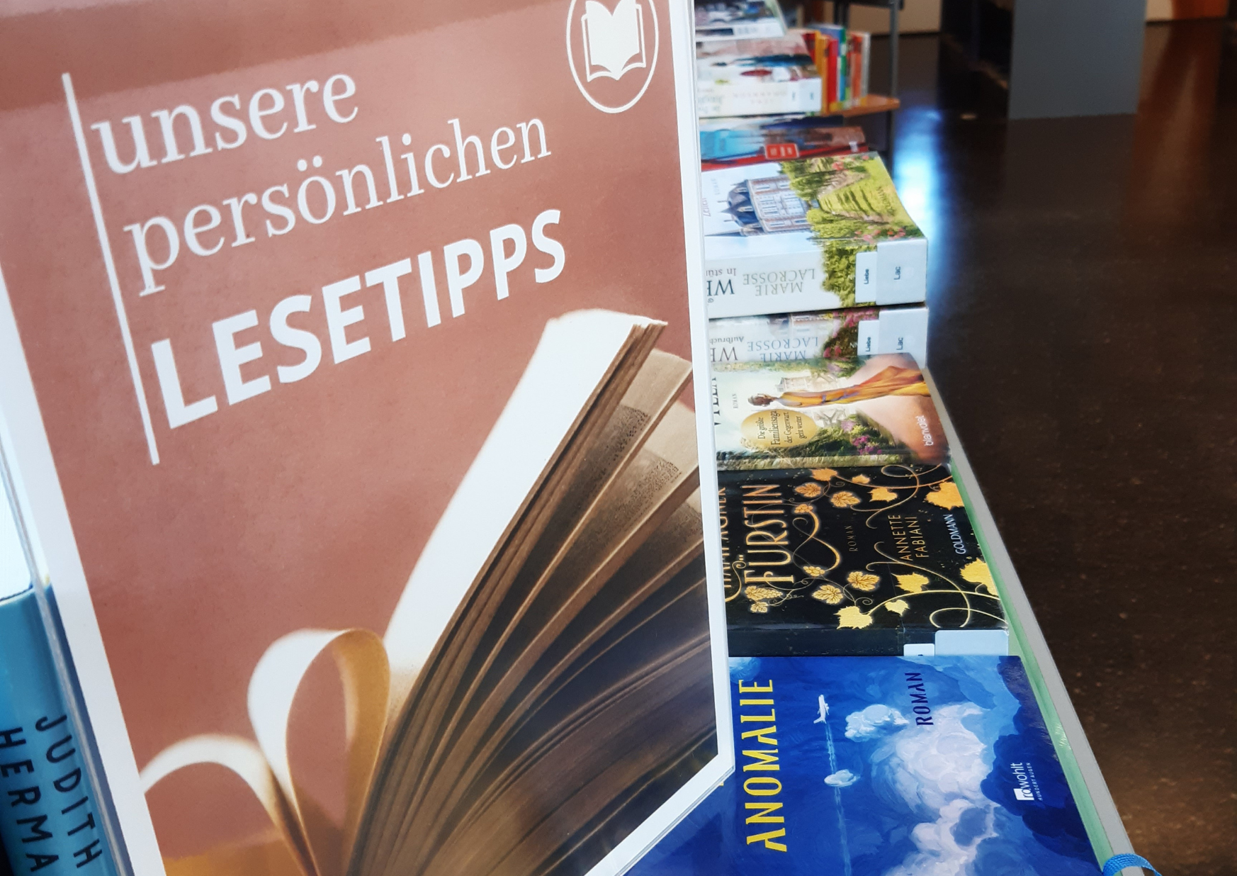  Bücherregal 